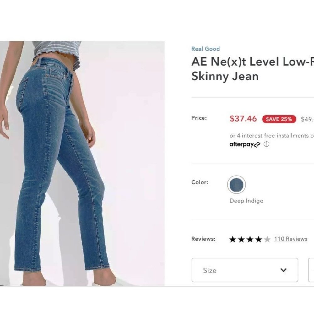 AE Ne(x)t Level Low-Rise Skinny Jean 4P